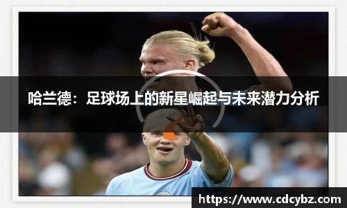 熊猫直播